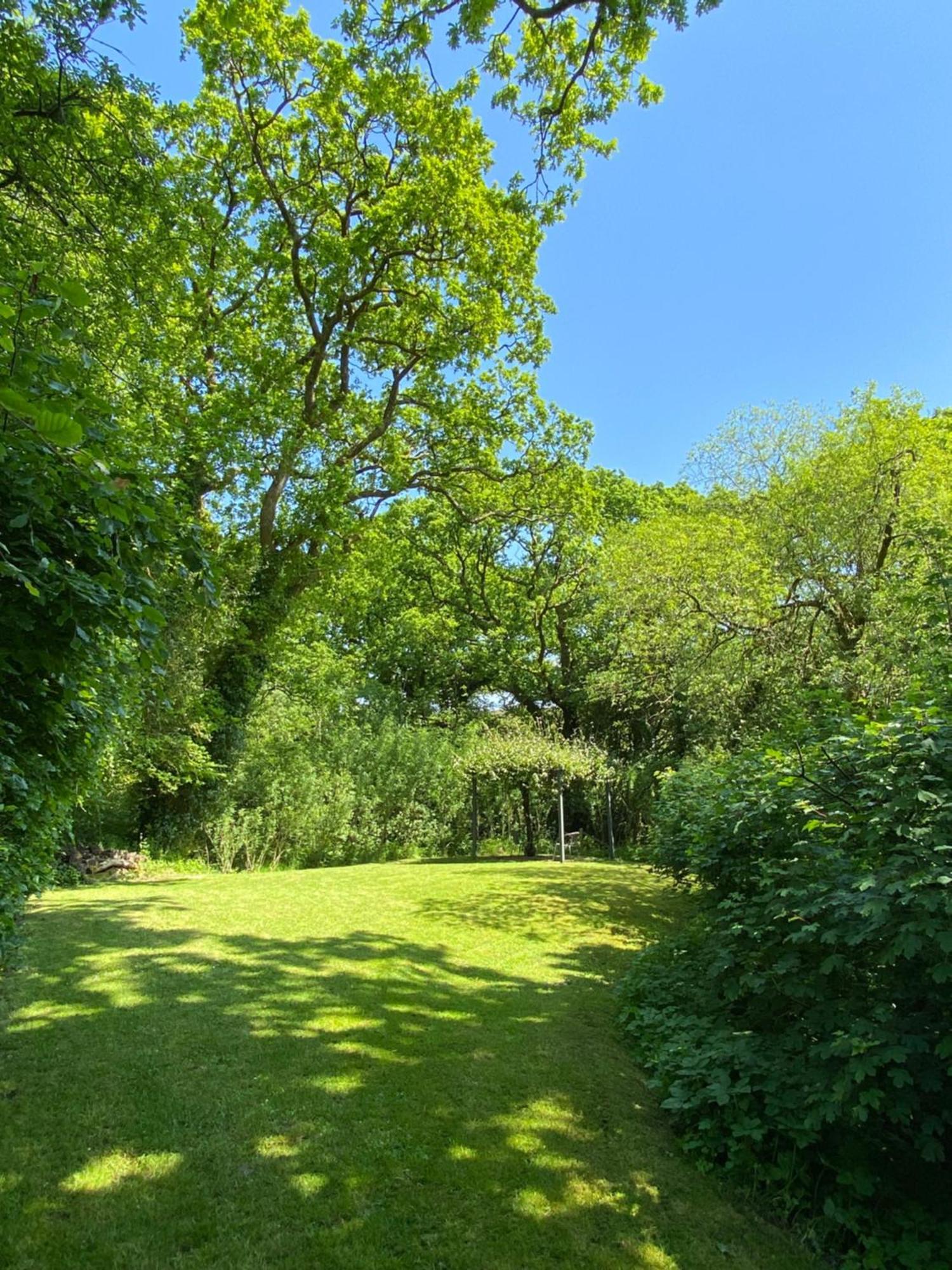 Petrock Holiday Cottages Newton Saint Petrock Номер фото