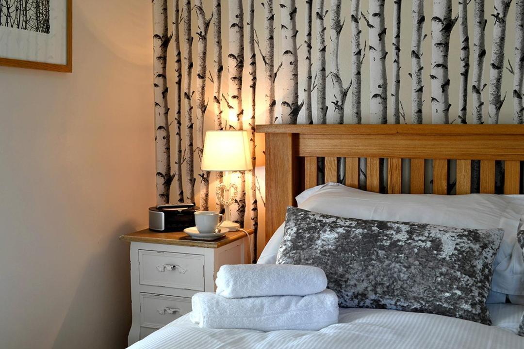 Petrock Holiday Cottages Newton Saint Petrock Екстер'єр фото